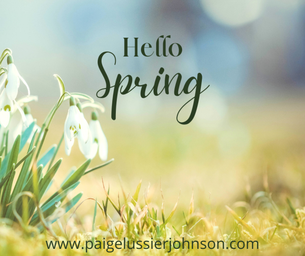 Zoom- Spring Equinox March 20 8:30am-9:30am - Image 5